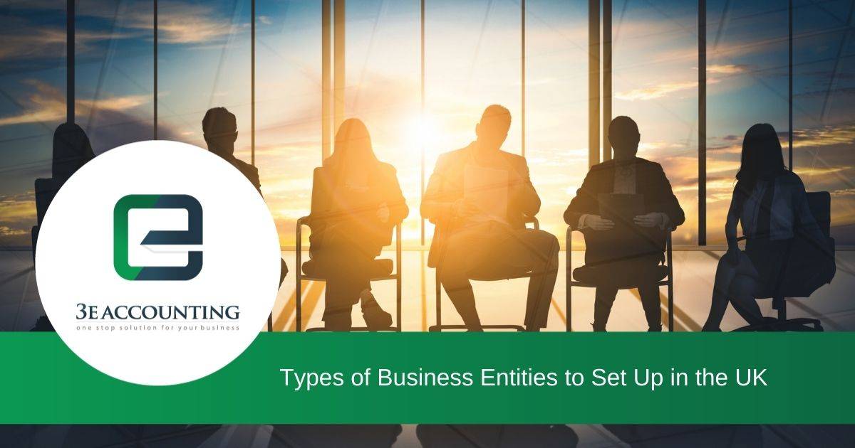 Types of Business Entities to Set Up in the UK 3E Accounting