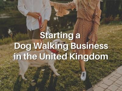 Starting a Dog Walking Business in the United Kingdom