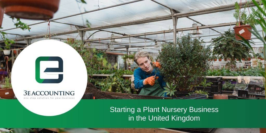 Starting A Plant Nursery Business In The United Kingdom - How To Start A Plant Business Uk